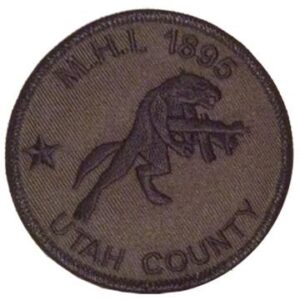 Utah County MHI Patch